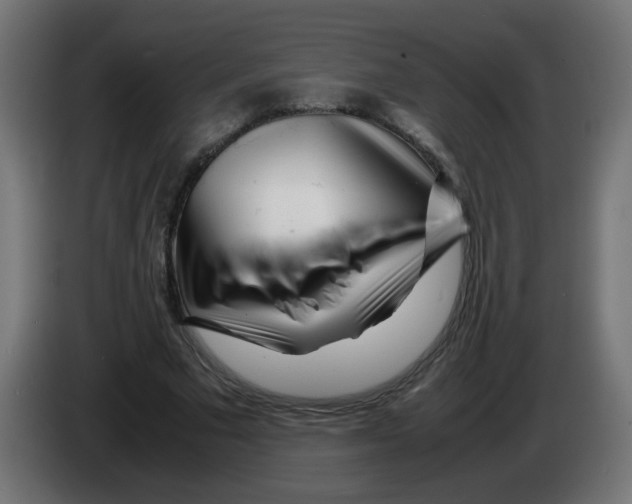 X0000083030681200703022027