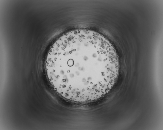 X0000083030683200703022027