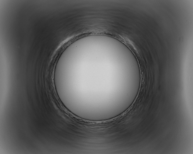 X0000083030684200703022027