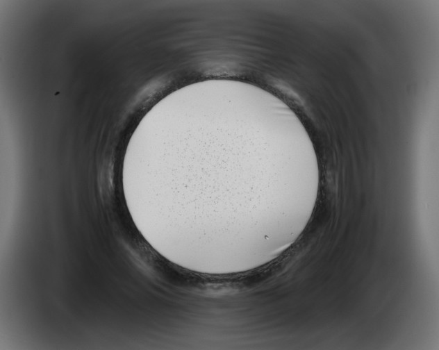 X0000083030686200703022027