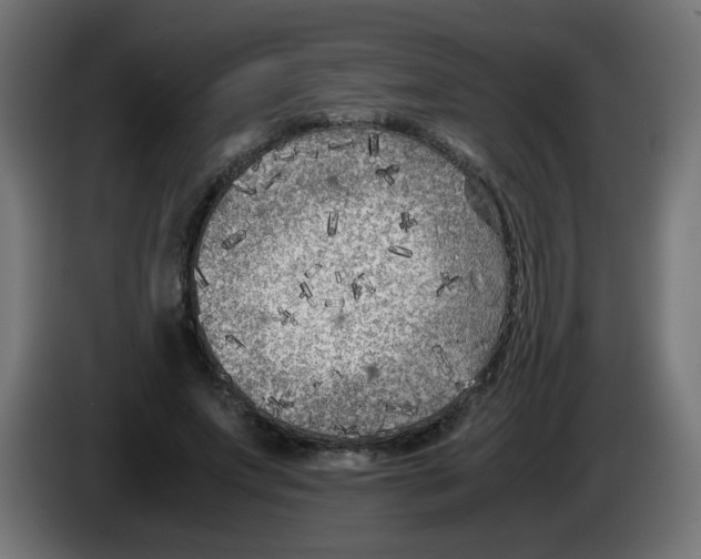 X0000083030687200703022027