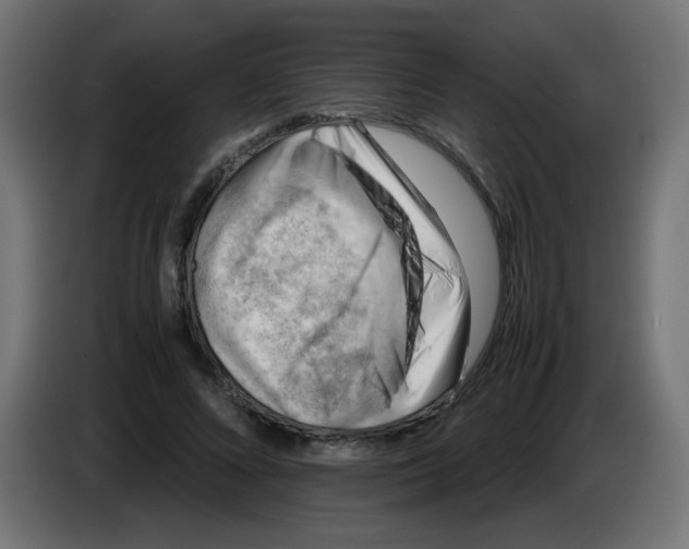 X0000083030688200703022026