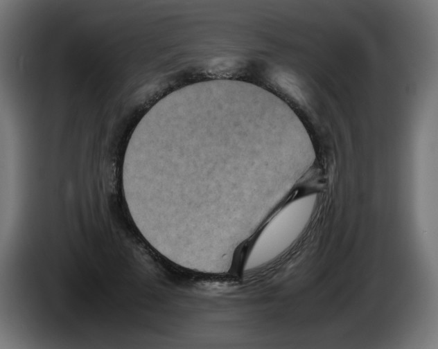 X0000083030689200703022026