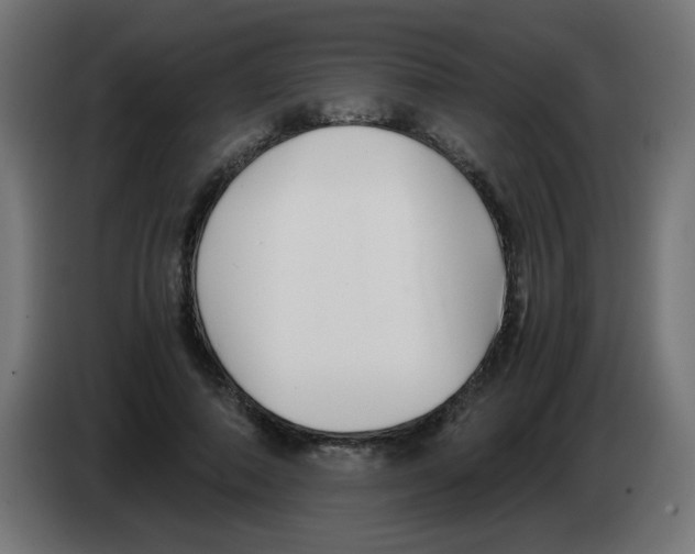 X0000083030690200703022026