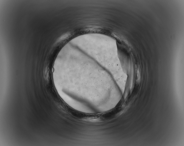 X0000083030692200703022026