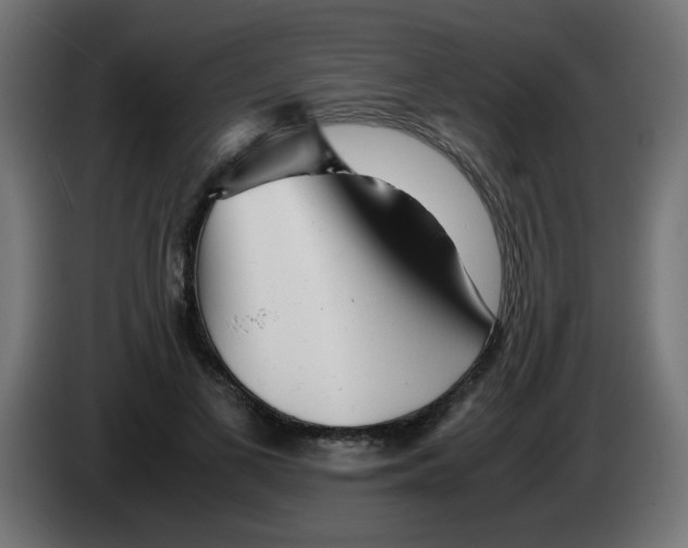 X0000083030693200703022026