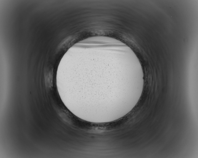 X0000083030694200703022026