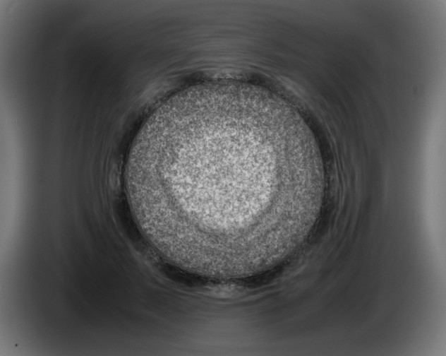 X0000083030695200703022026