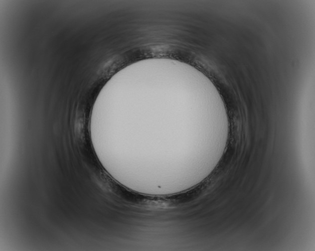 X0000083030698200703022026