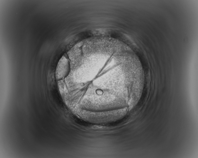 X0000083030699200703022026