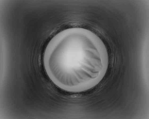 X0000083030700200703022026