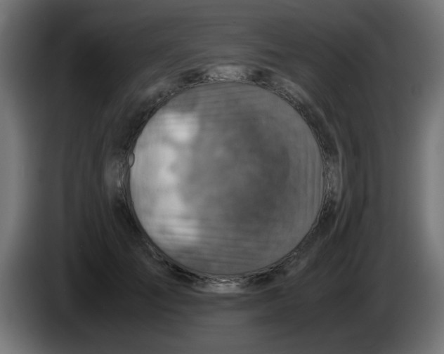 X0000083030701200703022026