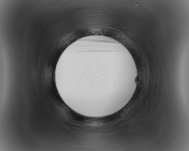 X0000083030702200703022026