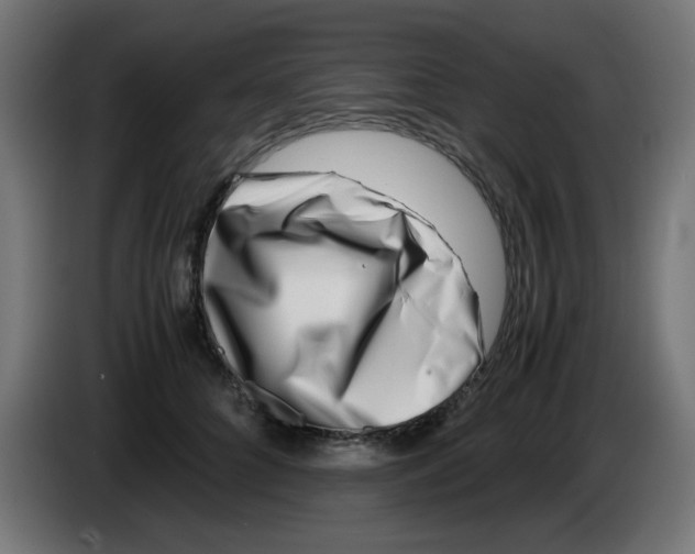 X0000083030704200703022026