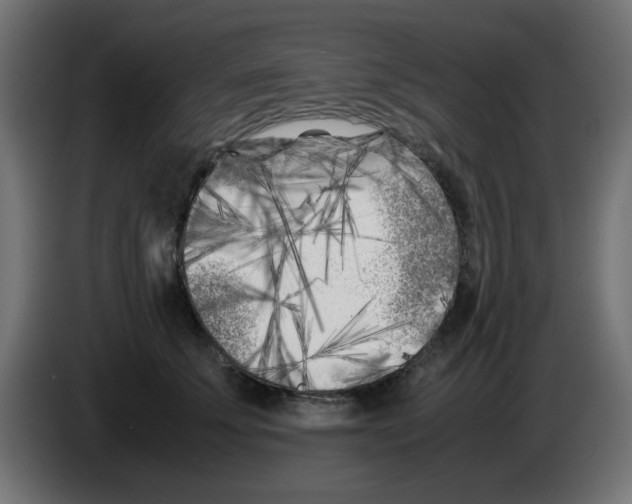 X0000083030707200703022026