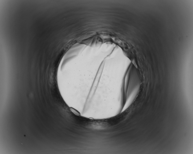 X0000083030708200703022026