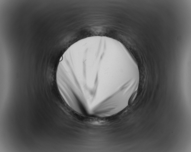 X0000083030710200703022026