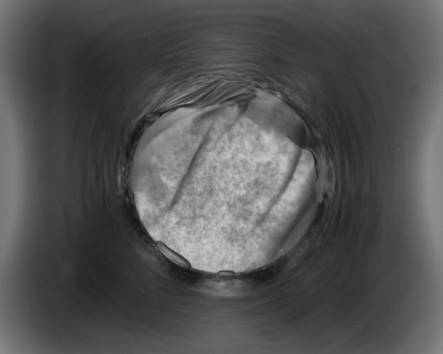 X0000083030712200703022026