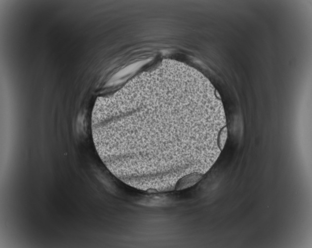 X0000083030715200703022026