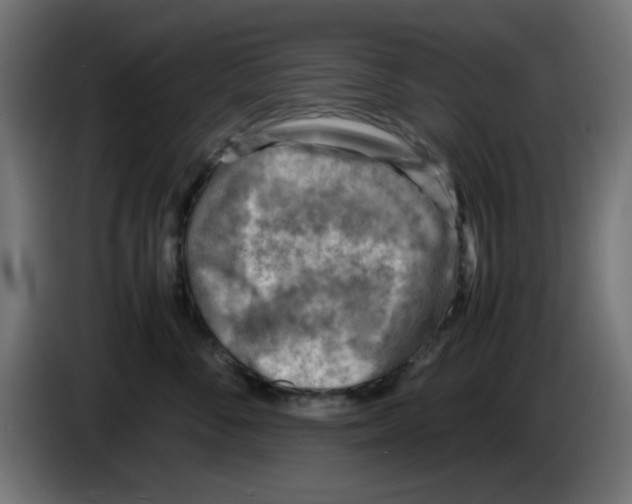 X0000083030716200703022026