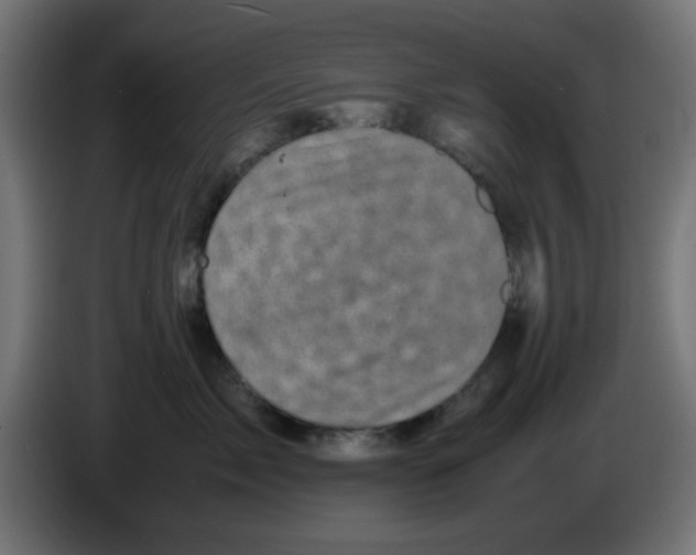 X0000083030717200703022026