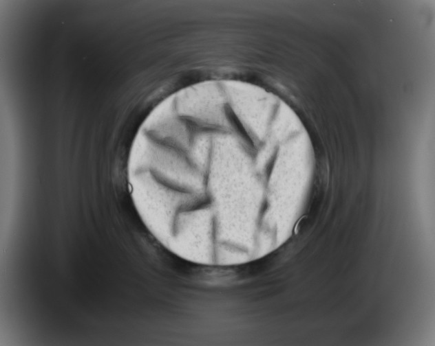 X0000083030719200703022026