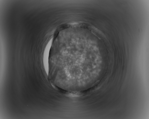 X0000083030720200703022026