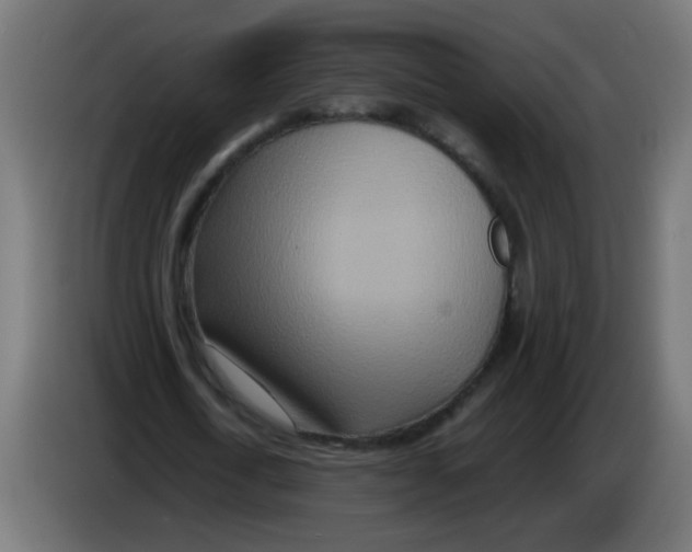 X0000083030722200703022025