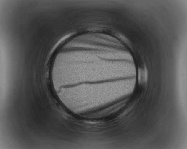 X0000083030723200703022025