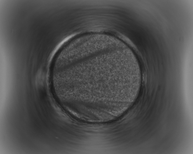 X0000083030724200703022025