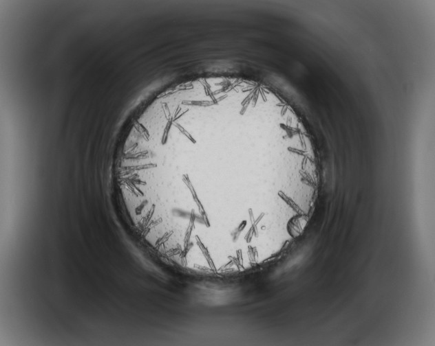 X0000083030725200703022025