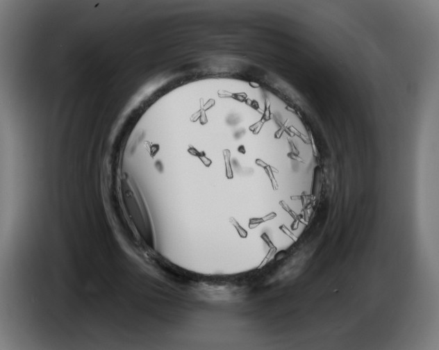 X0000083030726200703022025