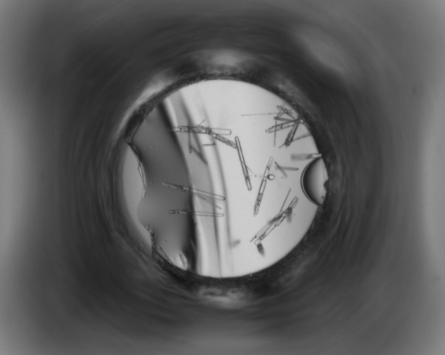 X0000083030727200703022025