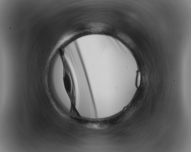 X0000083030728200703022025