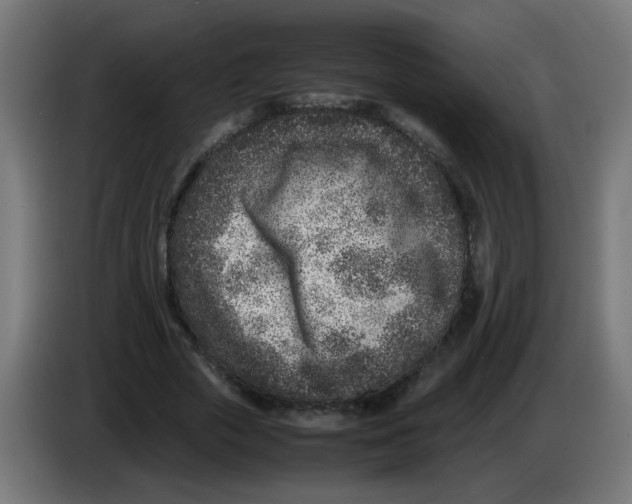 X0000083030729200703022025