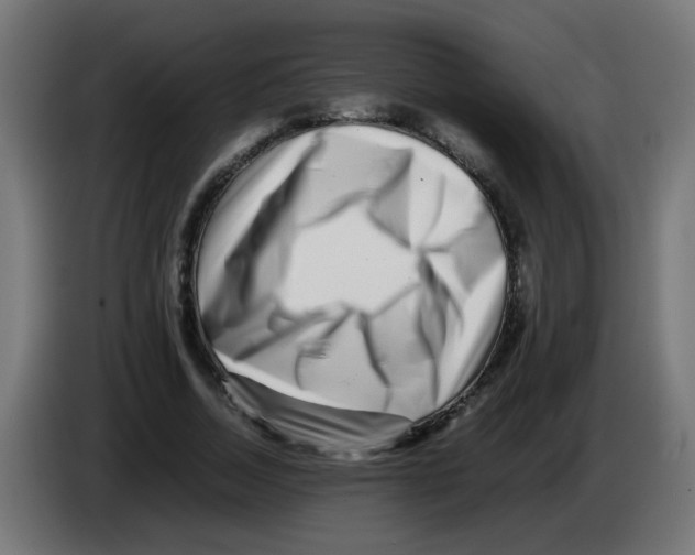 X0000083030730200703022025