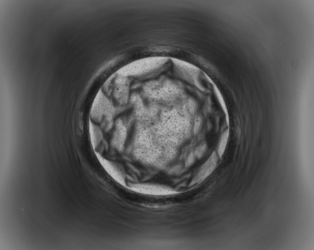 X0000083030731200703022025