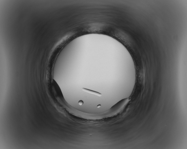 X0000083030732200703022026