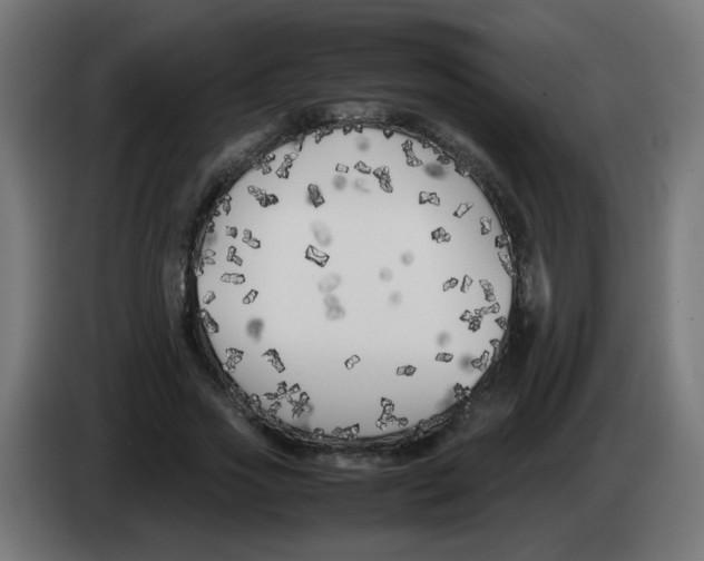 X0000083030733200703022026