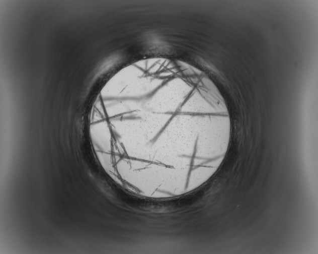 X0000083030735200703022026