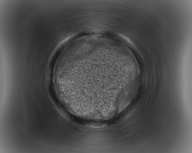 X0000083030736200703022026