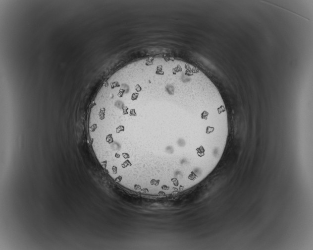 X0000083030737200703022026