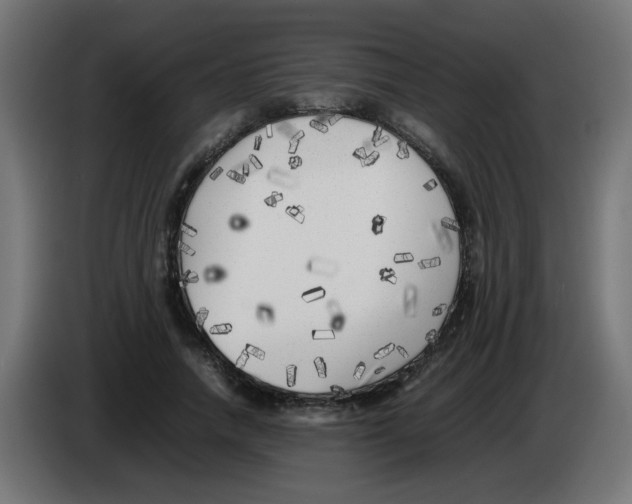 X0000083030738200703022026