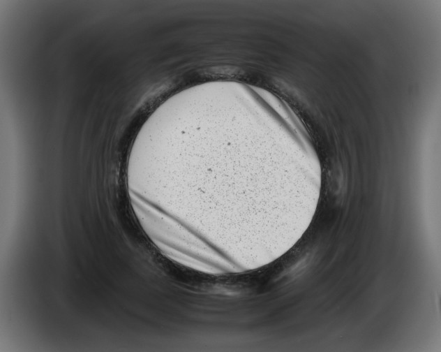 X0000083030739200703022026