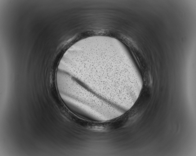 X0000083030740200703022026