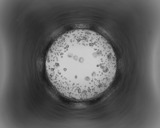 X0000083030741200703022026