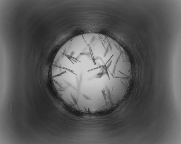 X0000083030742200703022026