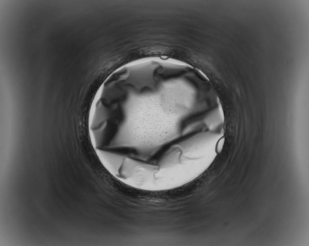 X0000083030743200703022026