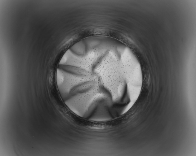 X0000083030744200703022026