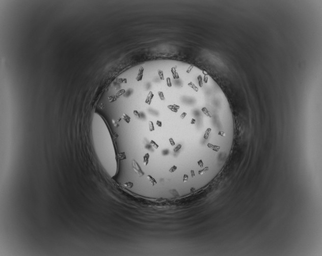 X0000083030745200703022026